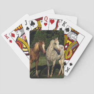 Appaloosa Horses Playing Cards