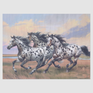 Appaloosa Horses Tissue Paper