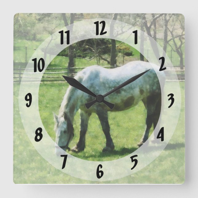 Appaloosa in Pasture Square Wall Clock (Front)