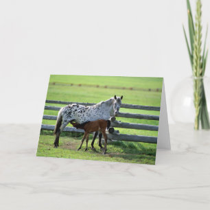 Appaloosa Mare and Colt Horse Card