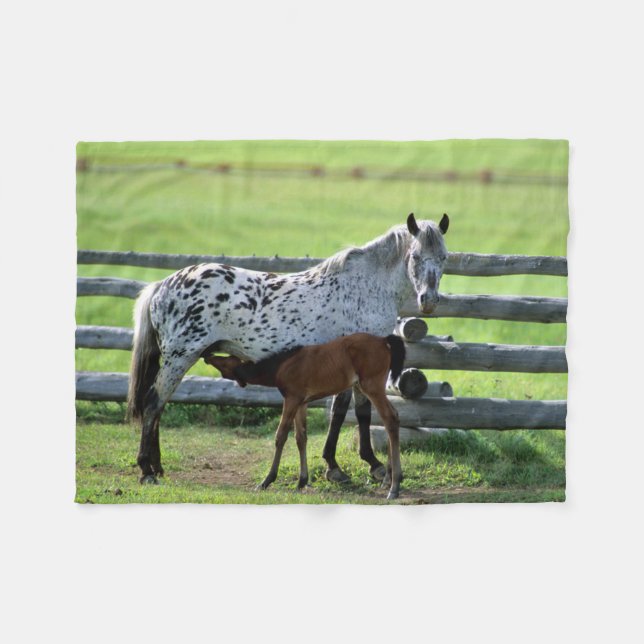 Appaloosa Mare and Colt Horse Fleece Blanket (Front (Horizontal))
