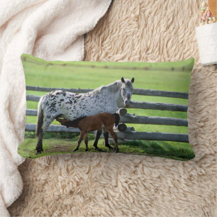 Appaloosa Mare and Colt Horse Lumbar Cushion