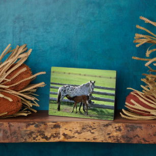 Appaloosa Mare and Colt Horse Plaque