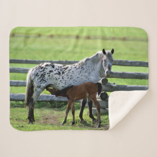 Appaloosa Mare and Colt Horse Sherpa Blanket