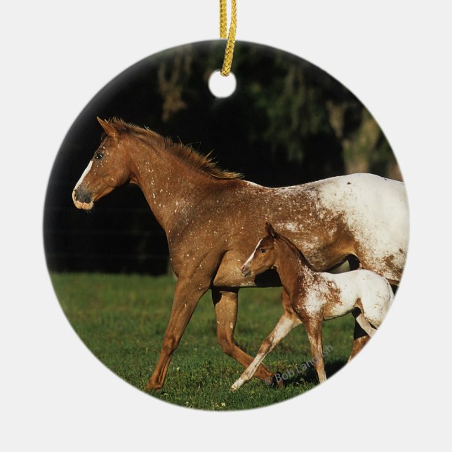 Appaloosa Mare And Foal Ceramic Tree Decoration (Front)