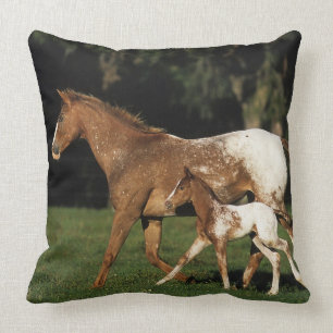 Appaloosa Mare And Foal Cushion