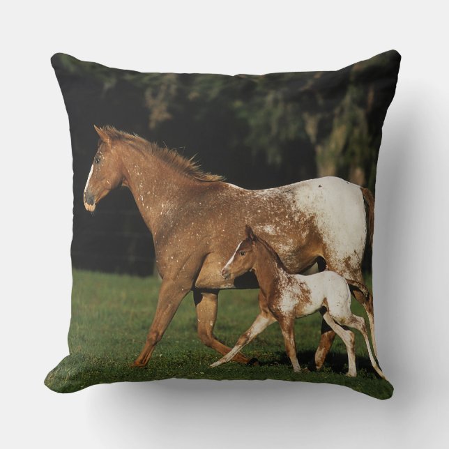 Appaloosa Mare And Foal Cushion (Front)
