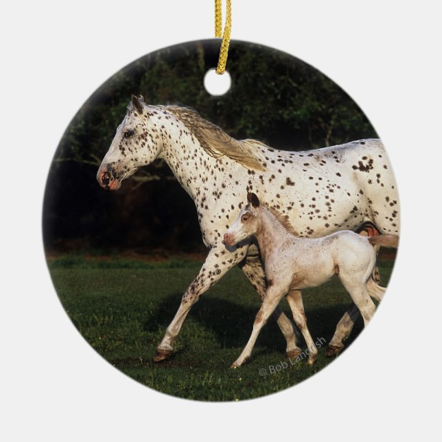 Appaloosa Mare And Foal in Field Ceramic Tree Decoration (Front)