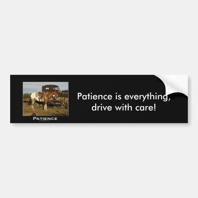 Appaloosa Motivational Gifts Bumper Sticker (Front)