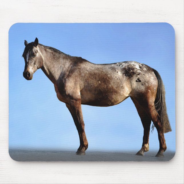 Appaloosa Mouse Pad (Front)