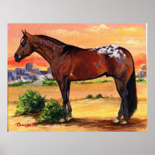 Appaloosa Profile Horse Portrait Poster