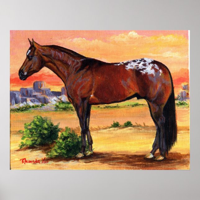 Appaloosa Profile Horse Portrait Poster (Front)