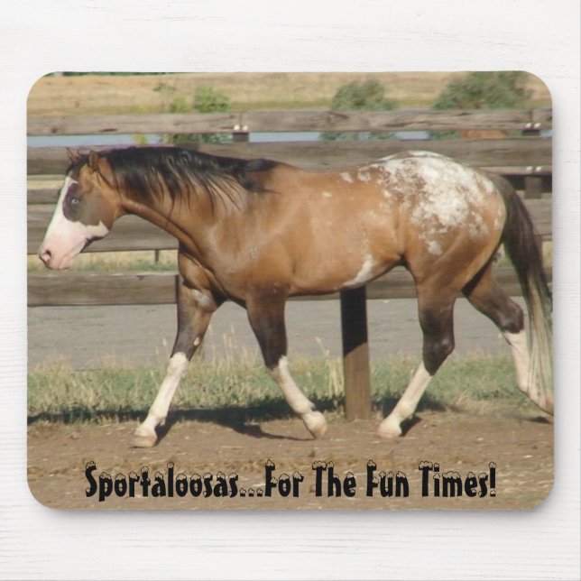 Appaloosa sportaloosa fun times mouse pad (Front)