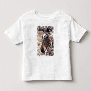 Appaloosa Stallions Toddler T-Shirt
