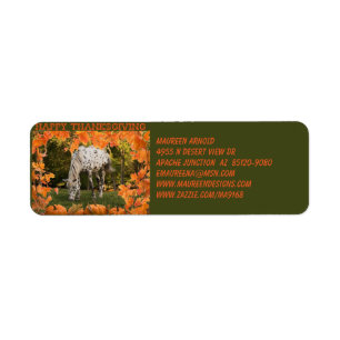 Appaloosa Thanksgiving Return Address Label