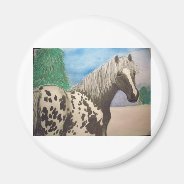 Appaloosa winter magnet (Front)