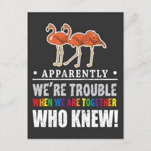 Apparently We're Trouble Flamingo Zoo Animal Postcard