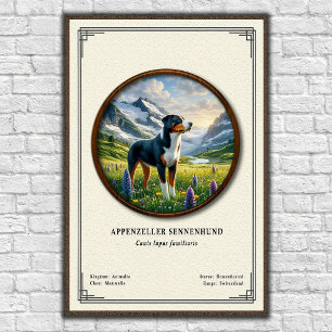 Appenzeller Sennenhund Zoology Series Poster
