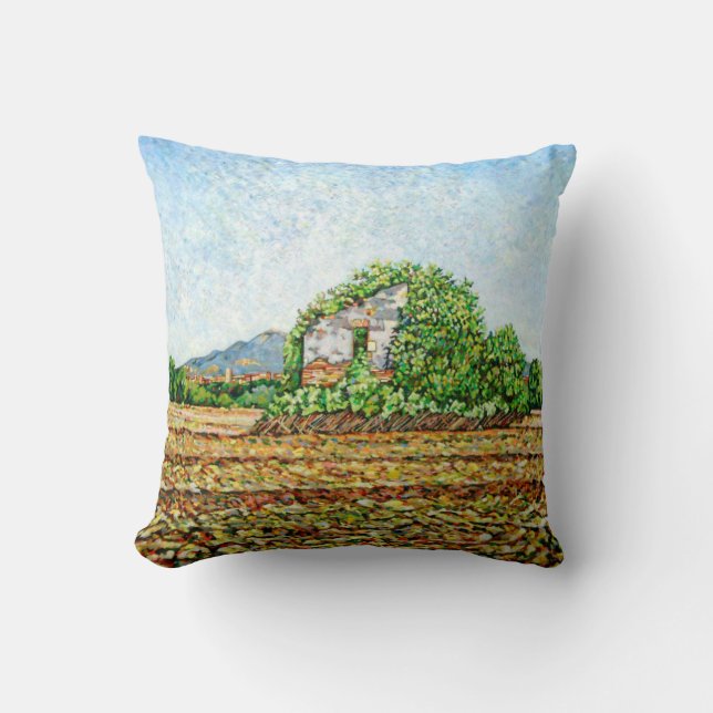 Appia Antica House Cushion (Front)