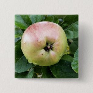 APPLE 15 CM SQUARE BADGE