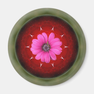 apple and daisy -collage magnet
