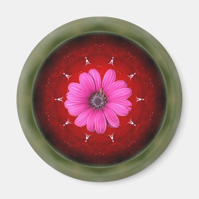 apple and daisy -collage magnet (Front)