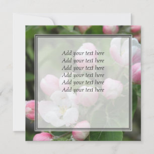 apple blossom and green leaves