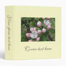 apple blossom and green leaves