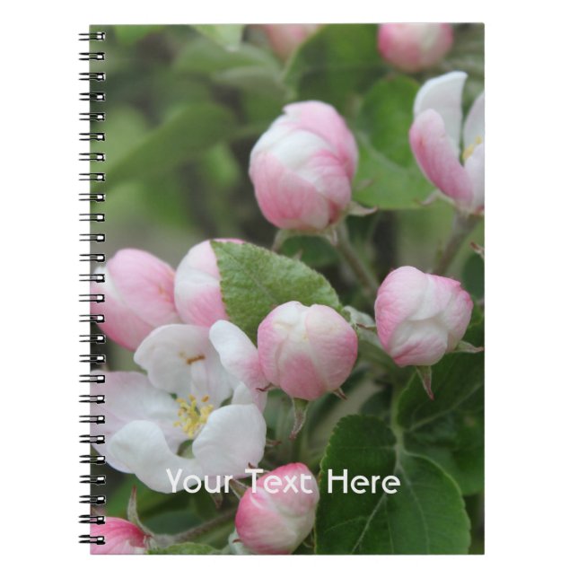 apple blossom and green leaves notebook (Front)