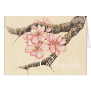 Apple Blossom Branch