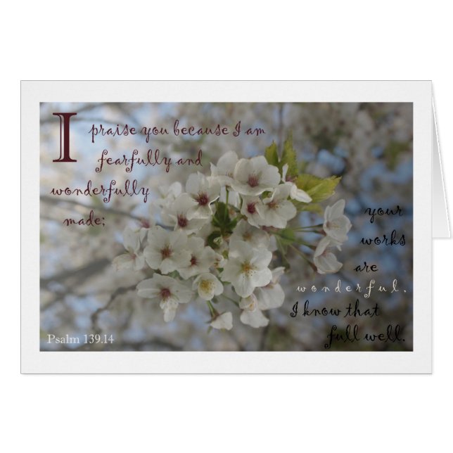 Apple blossom card (Front Horizontal)