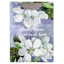 Apple blossom 
