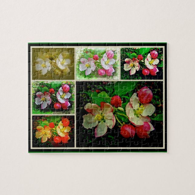 Apple Blossom Collage - Enhanced Digital Photo Jigsaw Puzzle (Horizontal)