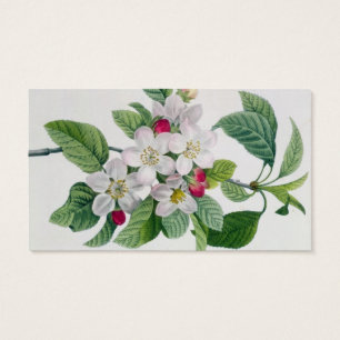 Apple Blossom, from 'Les Choix des Plus Belles
