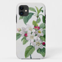 Apple Blossom, from 'Les Choix des Plus Belles
