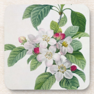 Apple Blossom, from 'Les Choix des Plus Belles Coaster