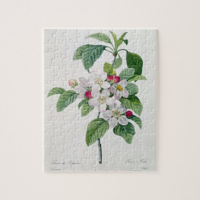 Apple Blossom, from 'Les Choix des Plus Belles Jigsaw Puzzle (Vertical)