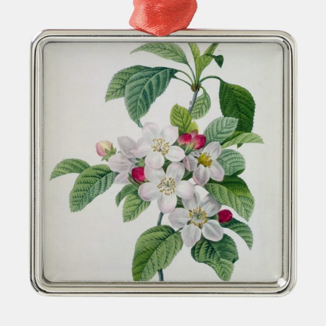 Apple Blossom, from 'Les Choix des Plus Belles Metal Tree Decoration (Front)