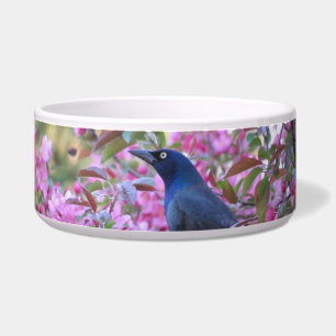 Apple Blossom Grackle