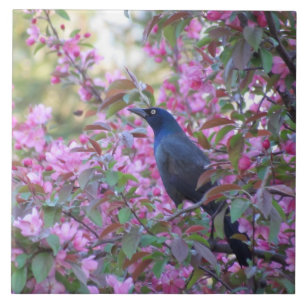 Apple Blossom Grackle Tile