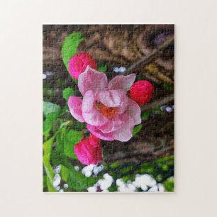 APPLE BLOSSOM JIGSAW PUZZLE