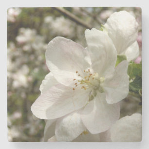Apple Blossom Marble Stone Coaster
