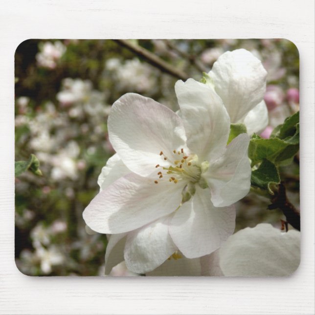Apple Blossom Mouse Mat (Front)