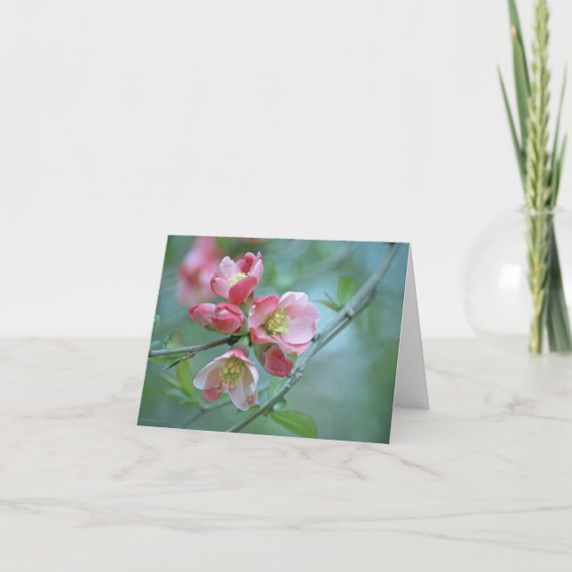 Apple Blossom #P0356 Card (Front)