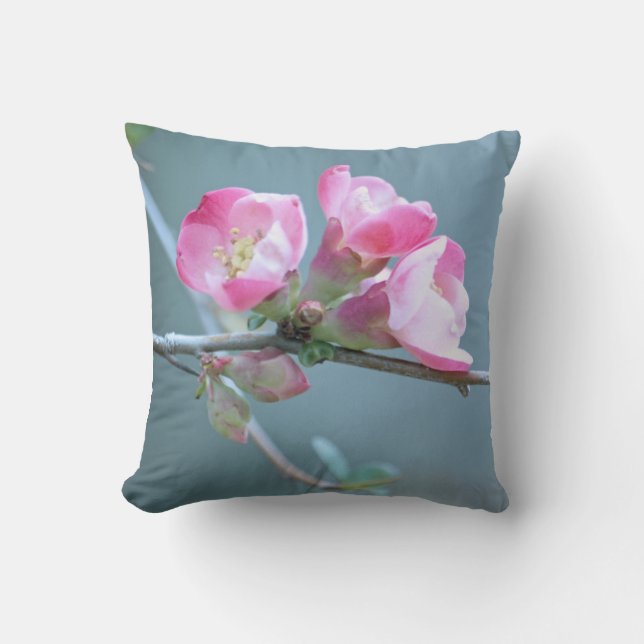 Apple Blossom #P0358 Cushion (Front)