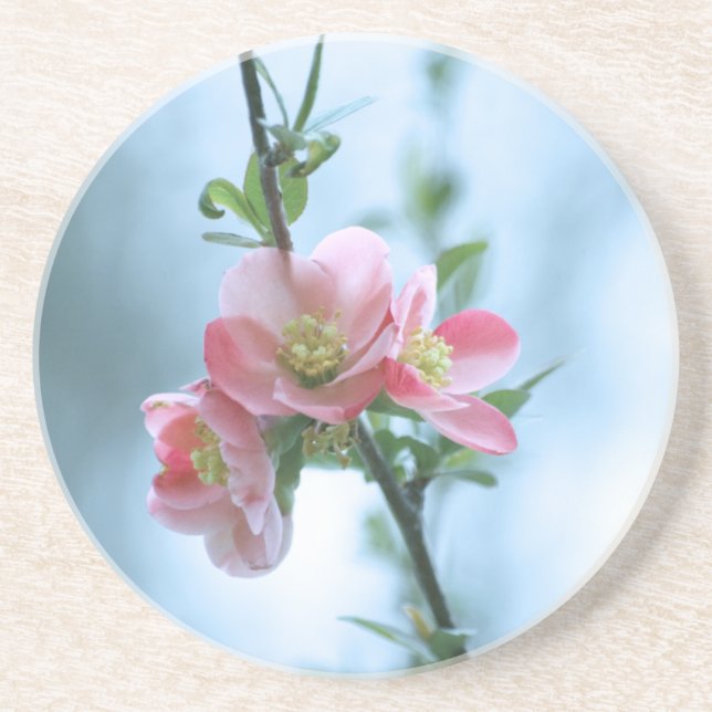 Apple Blossom #P0365 Coaster (Front)