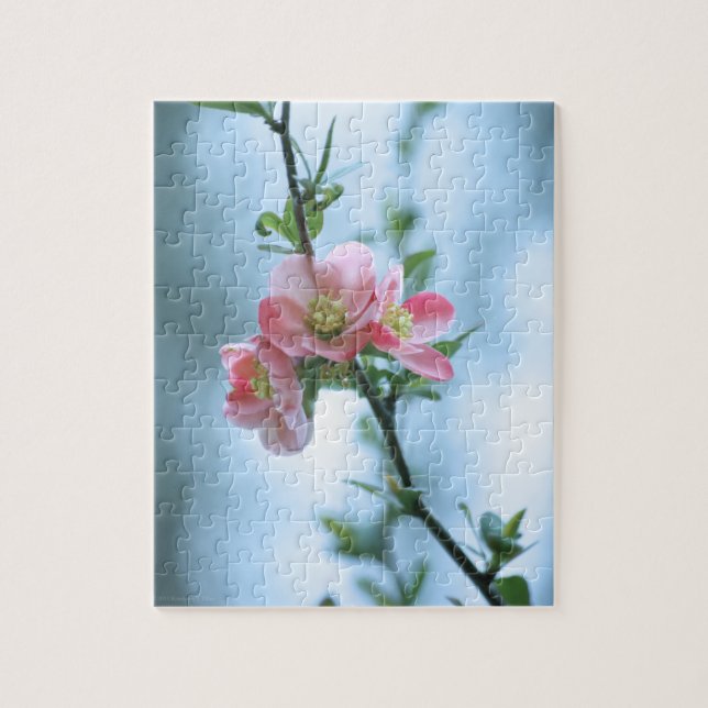 Apple Blossom #P0365 Puzzle (Vertical)