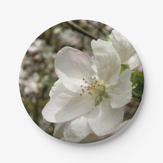 Apple Blossom Paper Plates (Front)