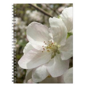 Apple Blossom Photo Notebook