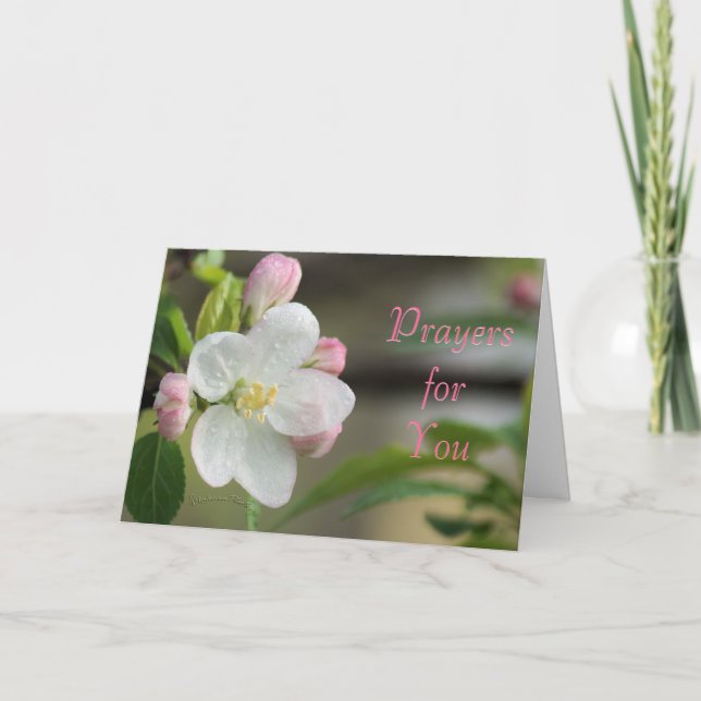 Apple Blossom Prayer card- or any occasion Holiday Card (Front)